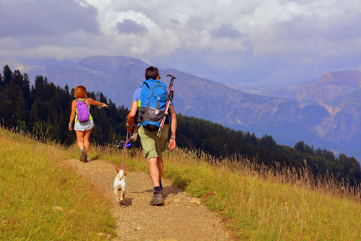 Two hikers and a dog on a trail in the mountains