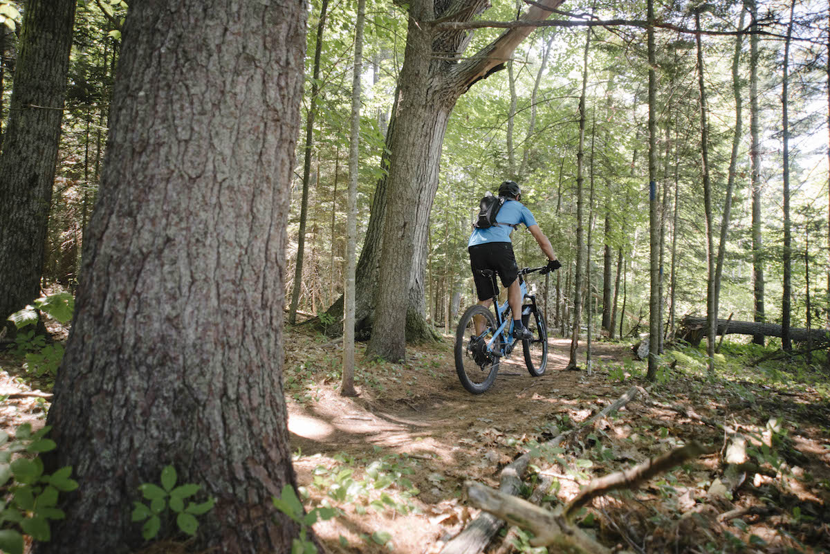A cyclist wearing a blue jersey and black shorts rides a mountain bike on a dirt trail through a dense forest with tall trees and abundant green foliage. The scene is bright and sunlit, with dappled sunlight filtering through the leaves.