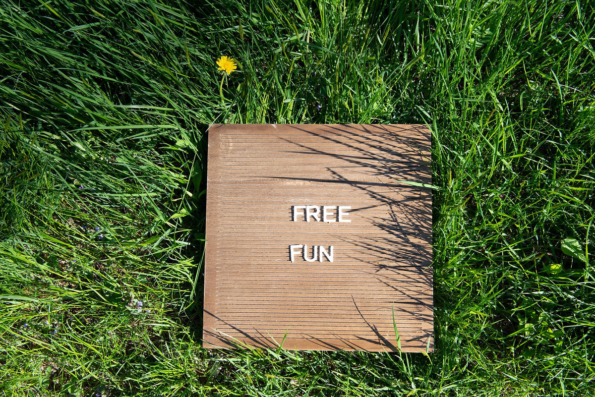 A wooden sign lies on the grass with the words "FREE FUN" written on it in white letters. The grass is lush and green, with a single yellow dandelion flower near the top-left corner of the sign.
