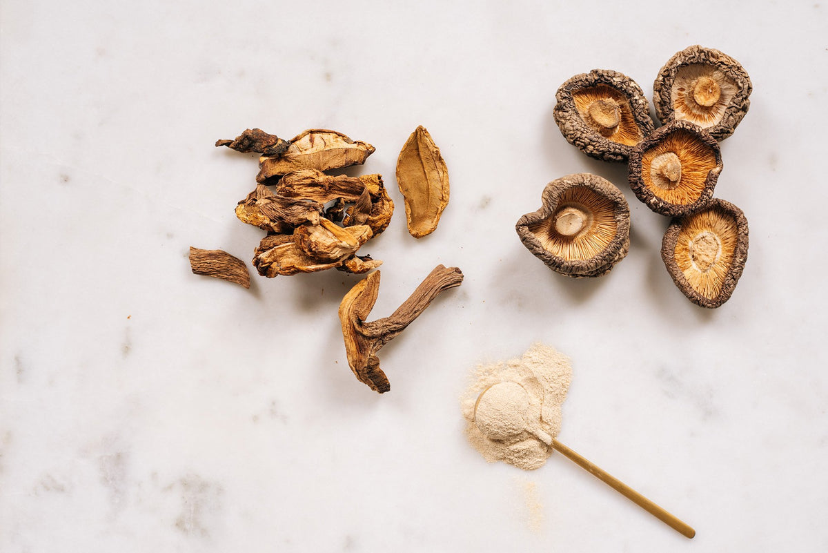 Top-down view of dried mushrooms and mushroom powder on a white marble surface, including dried mushroom chunks, whole shiitake mushrooms, and mushroom powder with a wooden spoon.