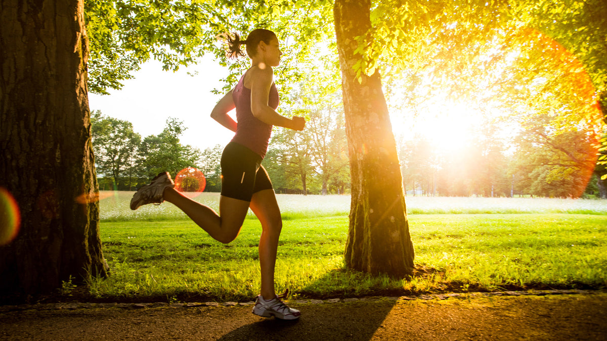 A person in athletic wear is running on a paved path through a park. Sunlight filters through the trees, casting a warm glow and creating lens flares. The surrounding area is lush and green, with grass and foliage illuminated by the sunlight.